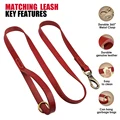 Red Leash