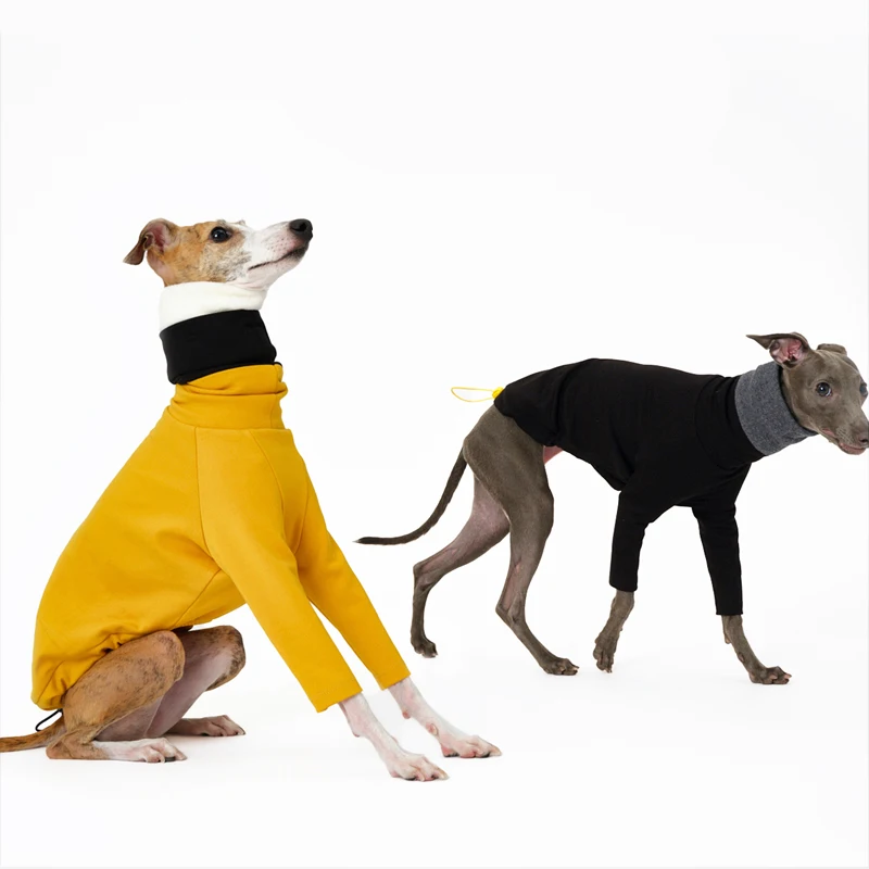Ropa desmontable multicolor de 2 patas para Italia Greyhound Wellington, sudadera gruesa y cálida de moda para otoño para Whipbit