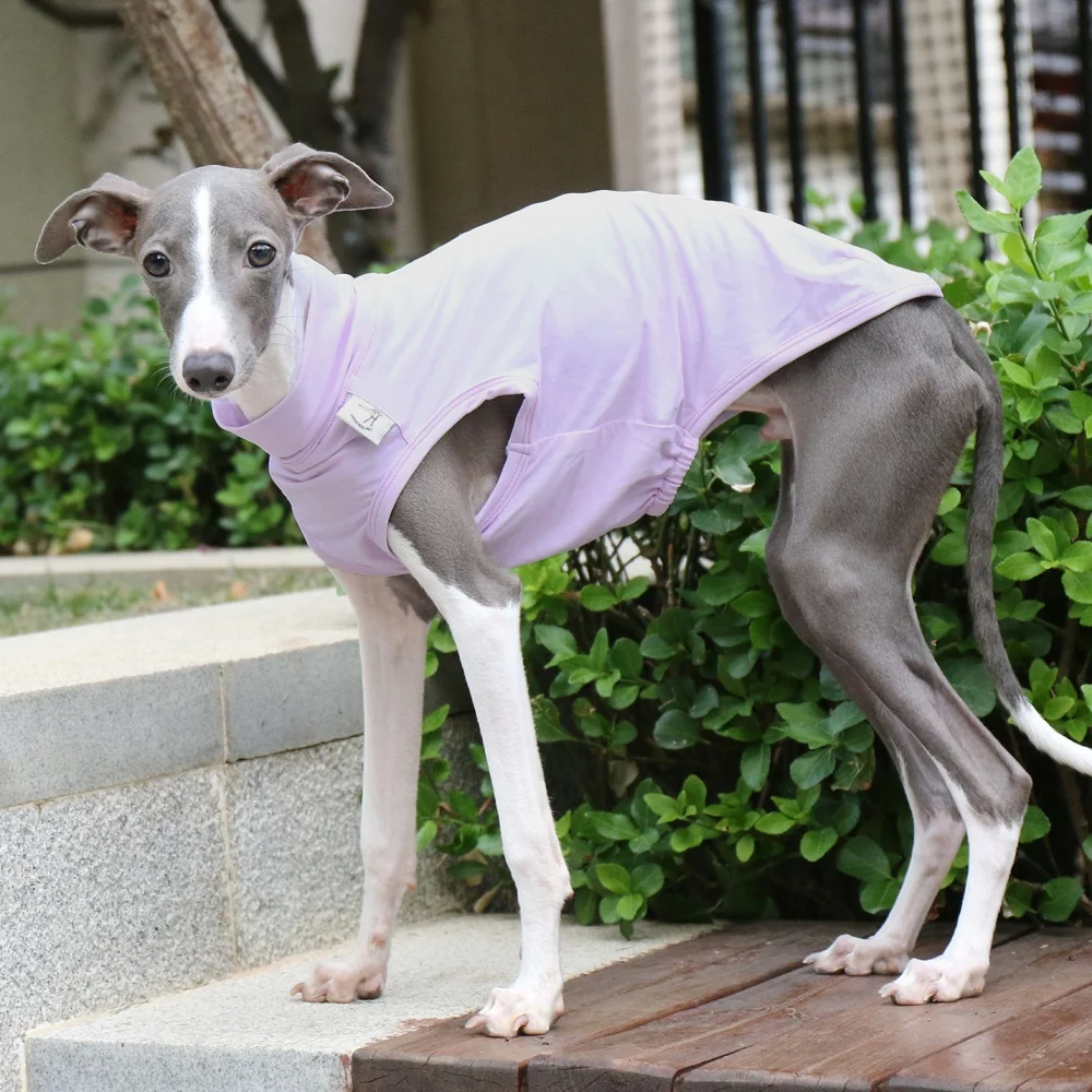 Pet Poodle Purple Sun Vest Summer Cool Camiseta para Galgo Italiano Mono Suave Color Sólido Verde Gris Claro para Wellington - imagen 3