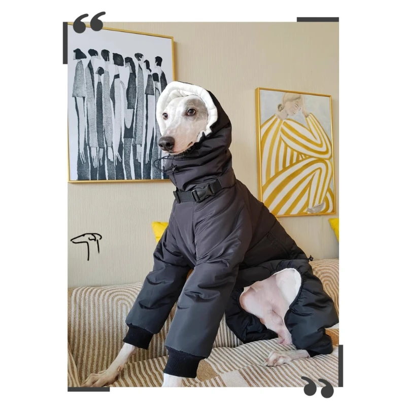 Ropa impermeable para perros, accesorios de ropa para perros grandes de invierno, monos para perros con sombrero, abrigo cálido ajustable para perros, suministros de productos