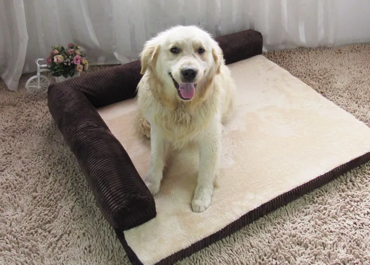 3044005672_916446139