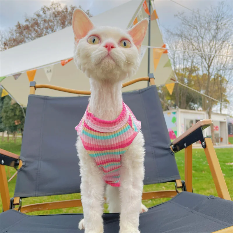 Ropa para gato hembra Camiseta arcoíris para gato sin pelo Verano Chaleco de algodón rosa para Sphinx Cat Devon Ropa de estar por casa rizada en primavera Mono fresco para cachorros en clima cálido
