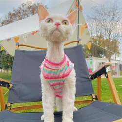 Camiseta arcoíris de verano para gatos Sphynx – Fresca y cómoda