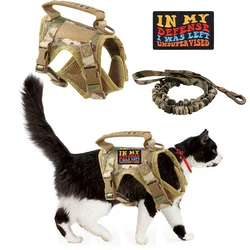Arnés reflector para gatos y perros pequeños – Seguridad nocturna