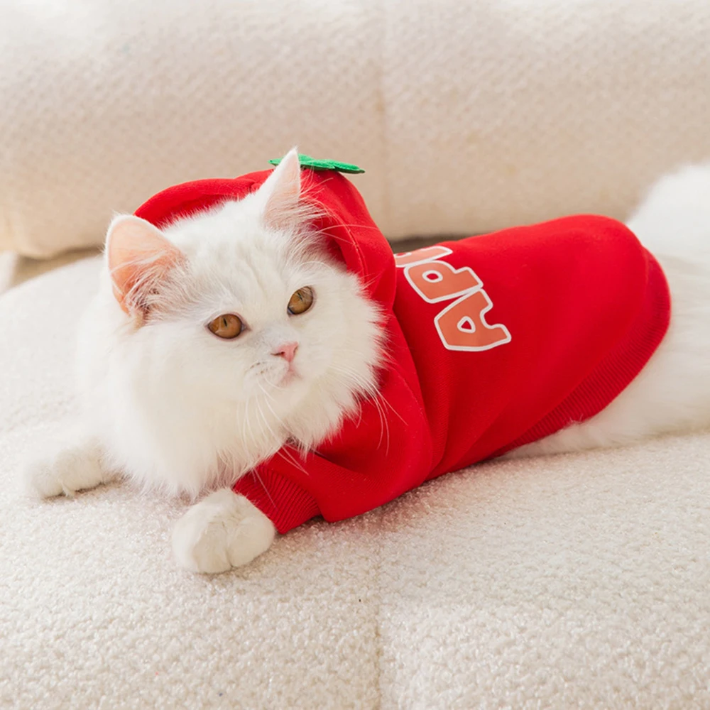 Sphynx-Sudadera con capucha y estampado de frutas para gato, ropa cálida de otoño e invierno para mascotas, disfraz de gato, Garfield, Katten - imagen 4