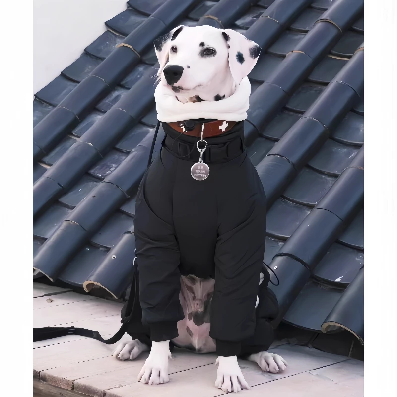 Ropa impermeable para perros, accesorios de ropa para perros grandes de invierno, monos para perros con sombrero, abrigo cálido ajustable para perros, suministros de productos - imagen 5