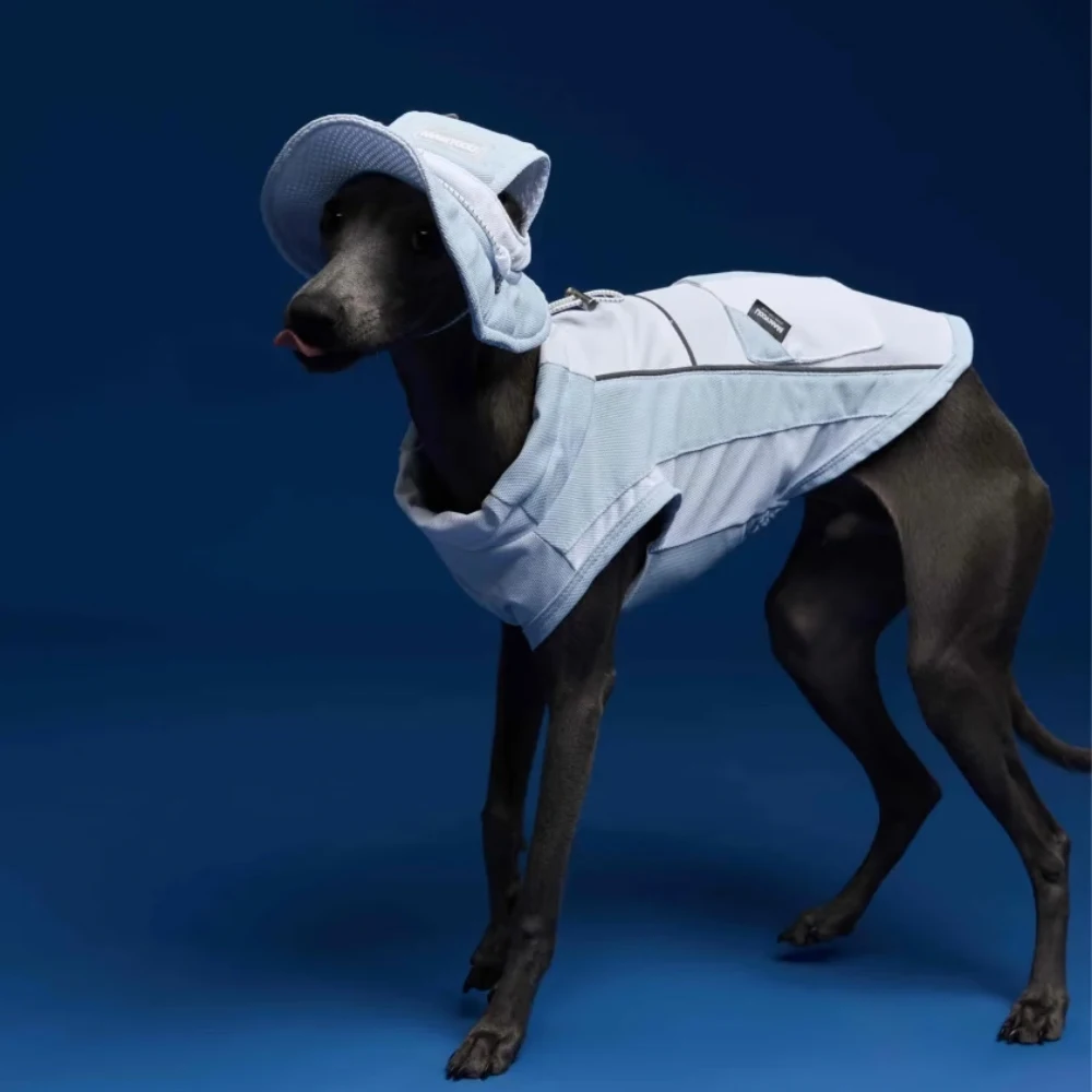 Chaleco refrescante para perros galgo italiano y whippet con capucha - imagen 3