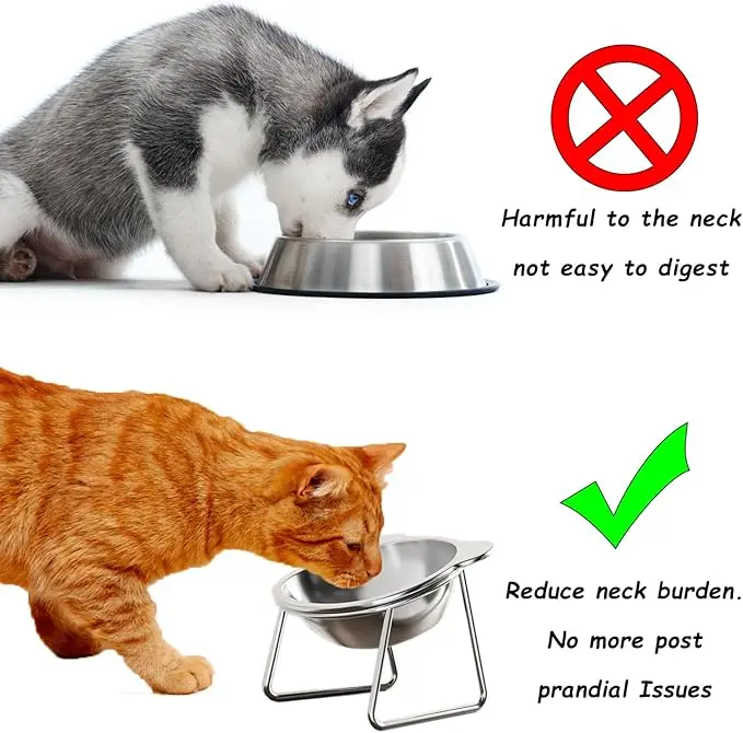 Cuenco de acero inoxidable para mascotas, espondilosis anticervical inclinada para gatos y perros, alimentador de doble uso - imagen 2