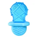 pacifier