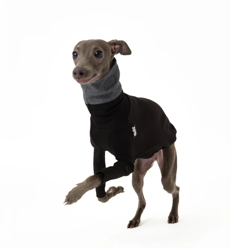 Ropa desmontable multicolor de 2 patas para Italia Greyhound Wellington, sudadera gruesa y cálida de moda para otoño para Whipbit - imagen 5