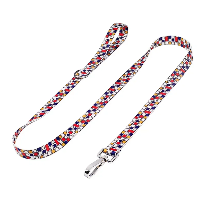 Mondria Leash
