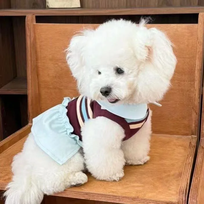 Vestido transpirable para perros y cachorros a rayas de primavera - imagen 5