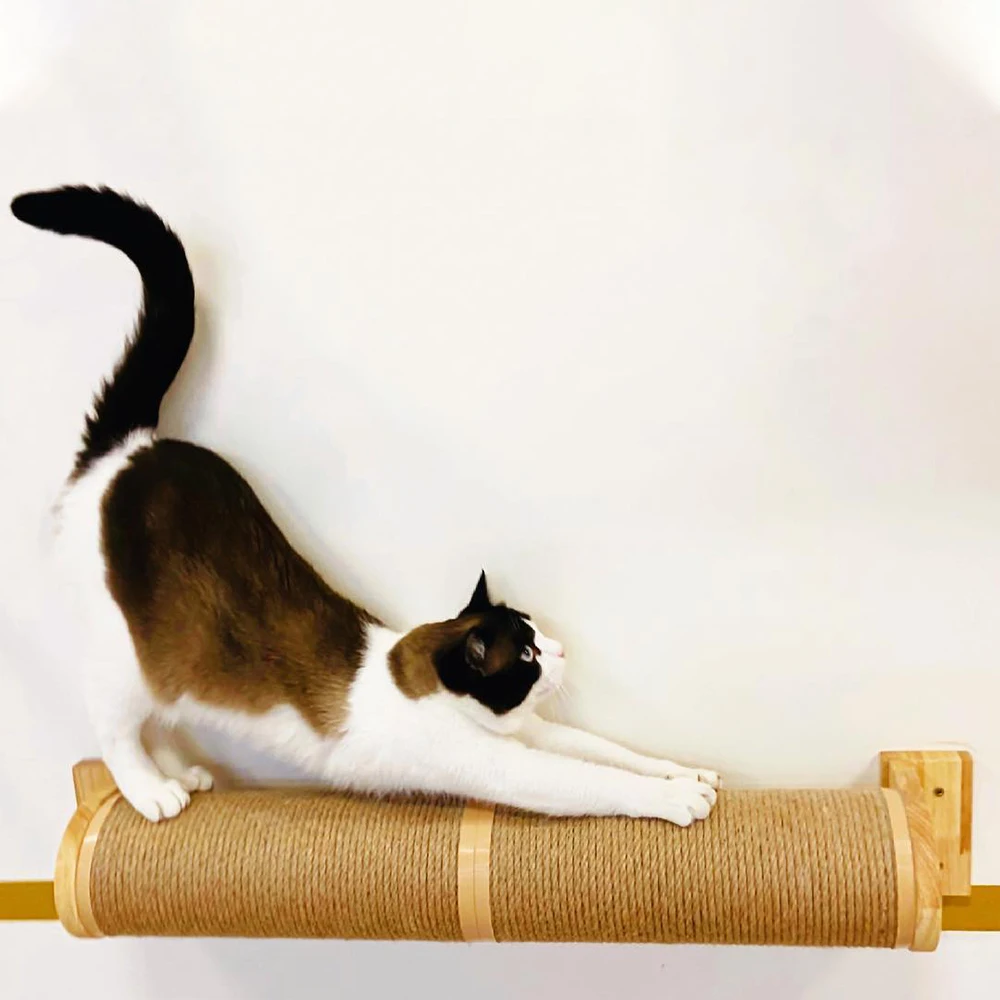 Muebles de escalada para gatos montados en la pared, soportes y perchas flotantes para gatos, árboles para gatos, plataformas para saltar - imagen 3