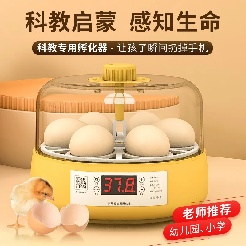 Incubadora automática doméstica para huevos – Fácil uso - imagen 3