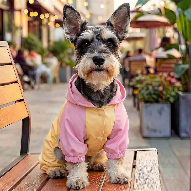 Mono con capucha 4 patas para perros pequeños, a prueba de viento - imagen 3