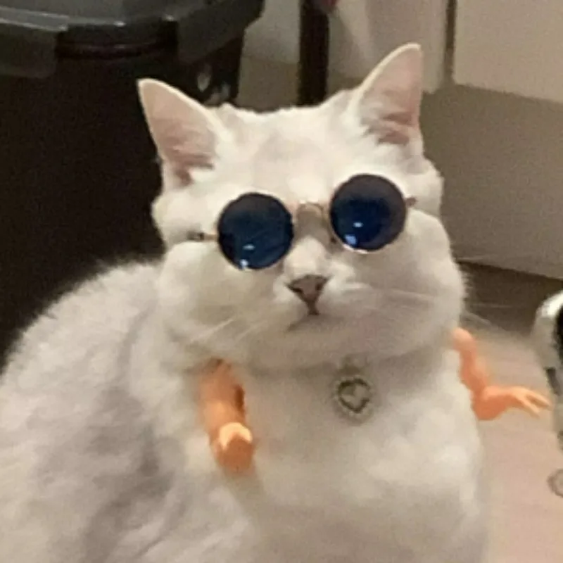 Nueva decoración de brazo de pollo, decoración de extremidades de pollo, parodia de dinosaurio, accesorios para mascotas, decoración de Manor de brazo de pollo - imagen 5