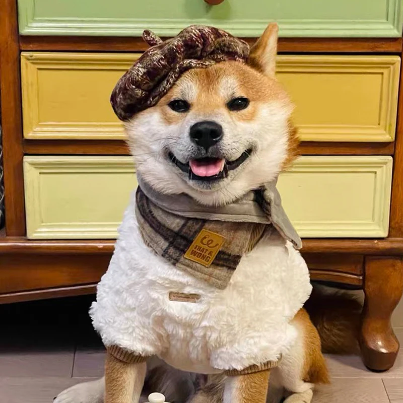 Sombrero Kawaii para perro y gato, bonito sombrero con pintura al óleo, tocado para gato, boina de lana de lujo para perros pequeños, Yorkshire, Teddy Schnauzer, Bichon Frise - imagen 3