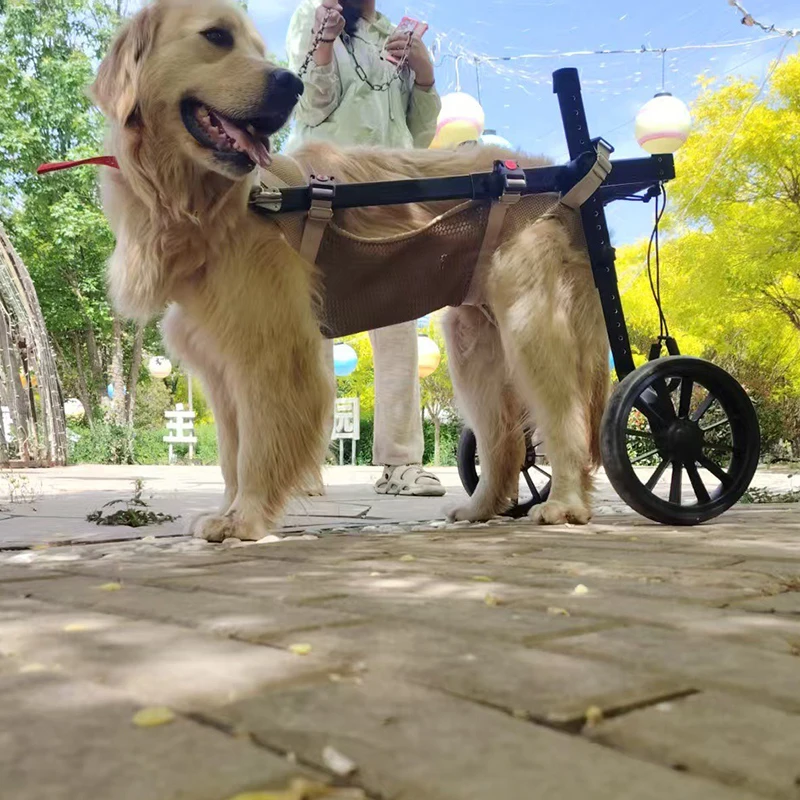 Silla de ruedas para perros patas traseras ajustable grandes y mayores - imagen 2