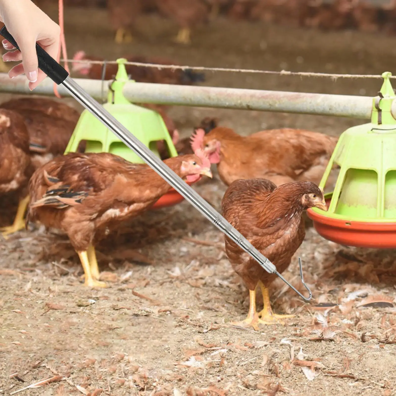 Chicken Leg Hook Portable with Extension Pole for Outdoor Ducks Turkeys