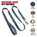 Blue Leash