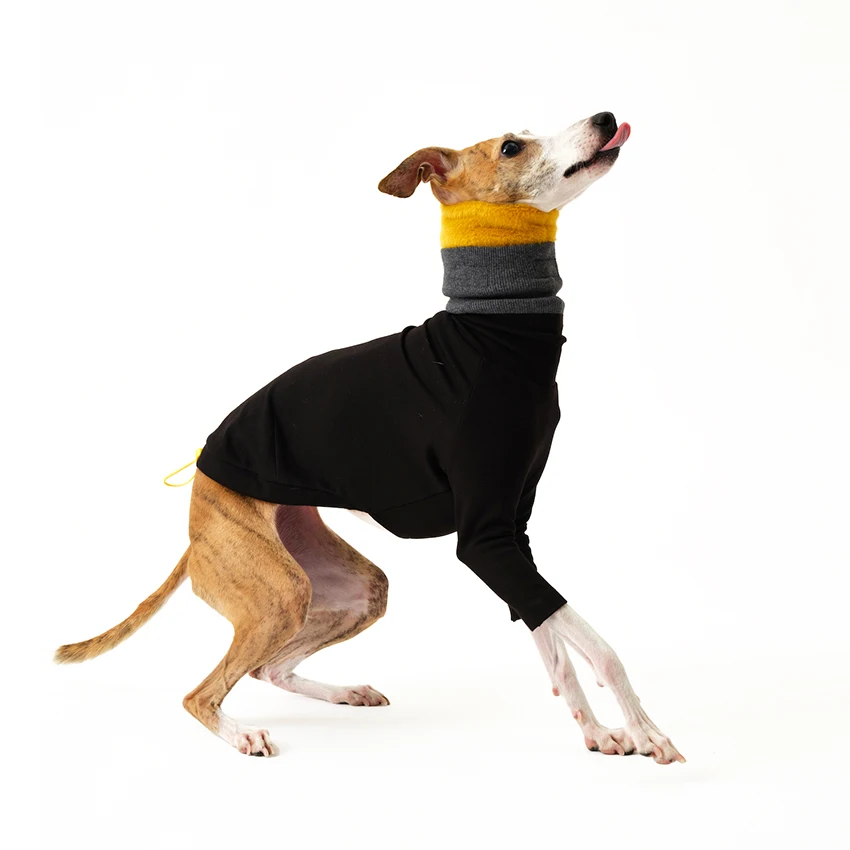 Ropa desmontable multicolor de 2 patas para Italia Greyhound Wellington, sudadera gruesa y cálida de moda para otoño para Whipbit - imagen 2