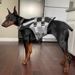Chaleco salvavidas para perros – Reflectante y regulable