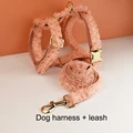 Harness leash
