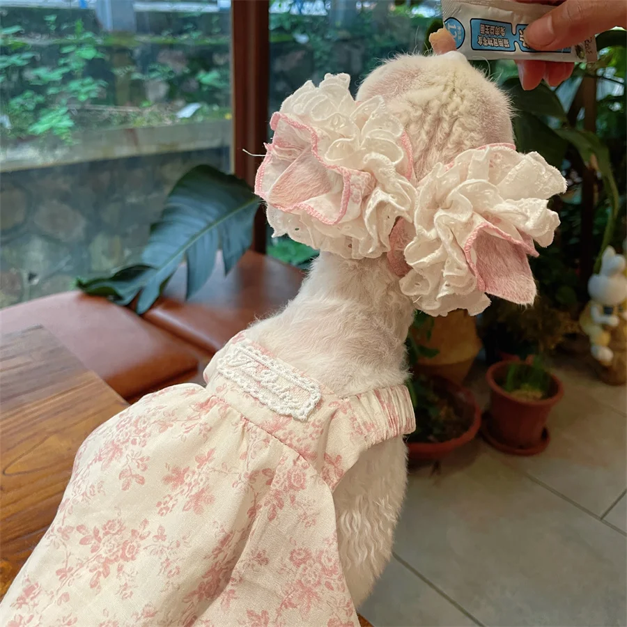 Falda Puffy de Algodón Rosa para Devon Rex, Vestido de Top Sin Mangas Suave y Transpirable para Gato Sin Pelo, Dulce Diadema de Encaje para Gato Sphynx - imagen 2