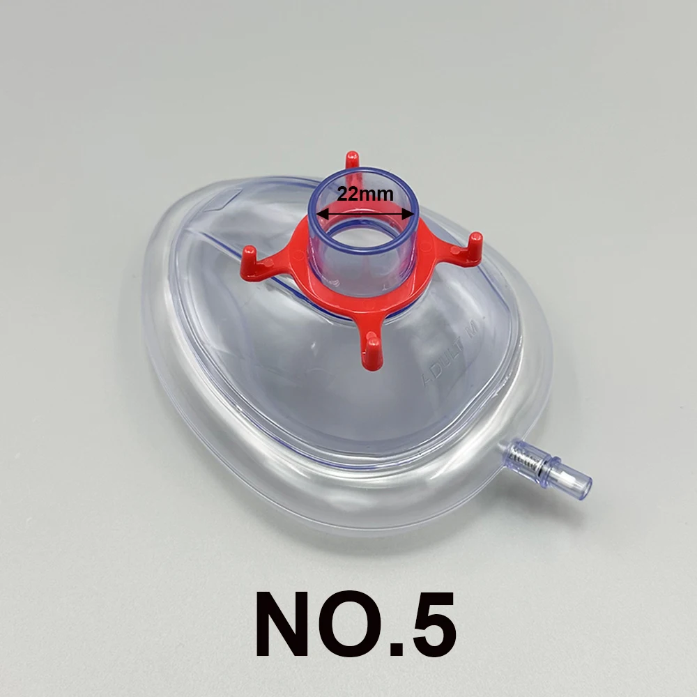 NO.5