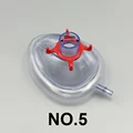 NO.5