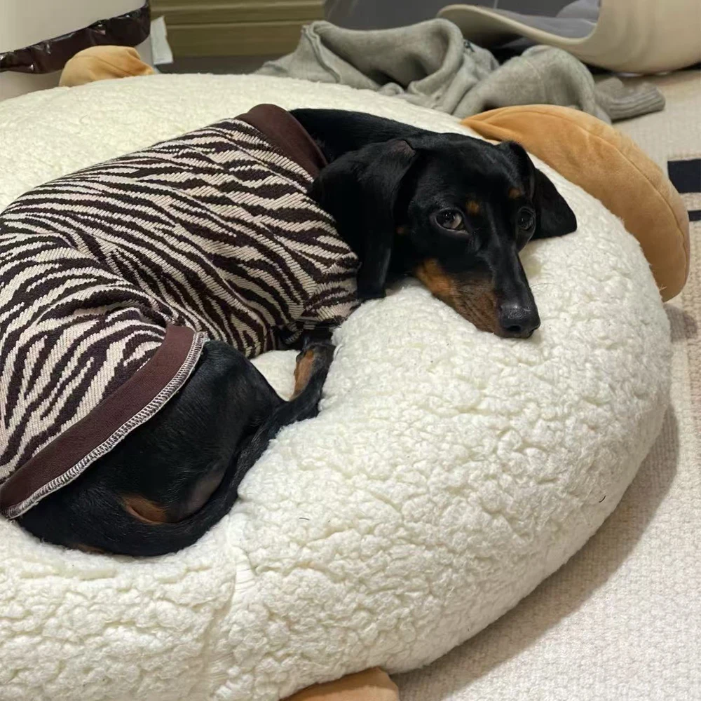Ropa para perros Wiener, suéter cálido de leopardo para perros salchicha, abrigo suave de manga larga de invierno para perros tejón, disfraces de vacaciones - imagen 5