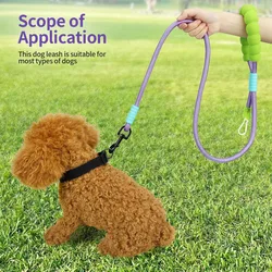 Correa ergonómica para perro con mango soft – Cómoda antihumedad