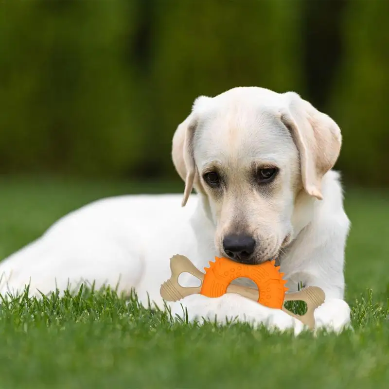 Cepillo de dientes Molar para cachorros de hueso, juguete para masticar para perros, juguetes para perros resistentes, juguetes para masticar para la dentición, cepillo de dientes para masticar perros, palo de dientes para agresivo - imagen 4