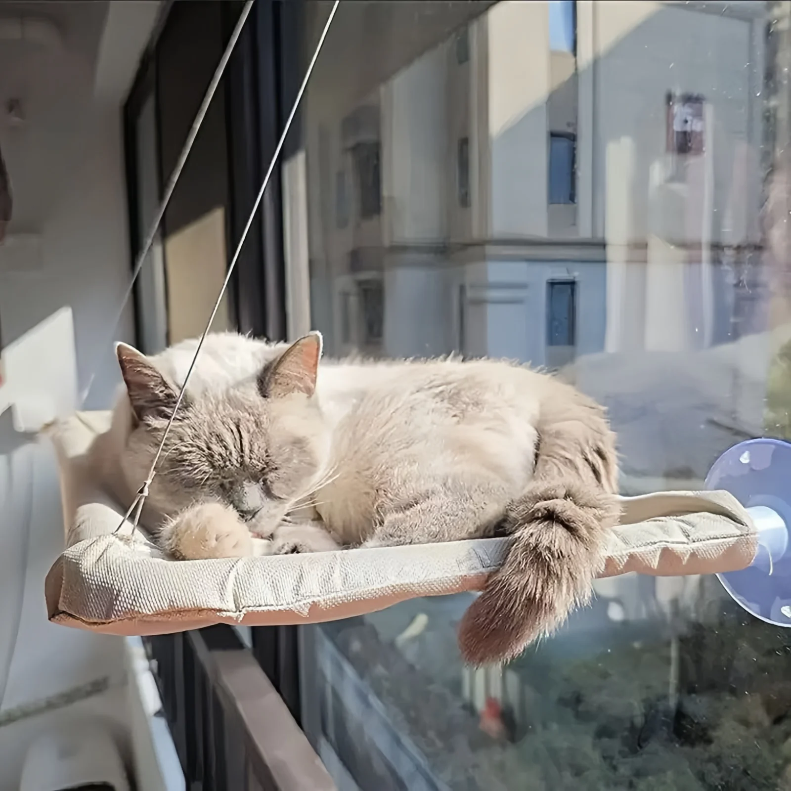 Hamaca para gatos colgante en ventana – Siesta felina y soporte