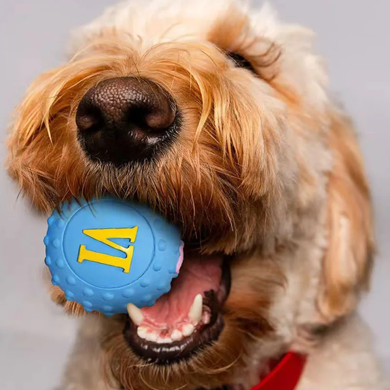 Juguete chirriante para perros - Pelota interactiva y masticable - imagen 3
