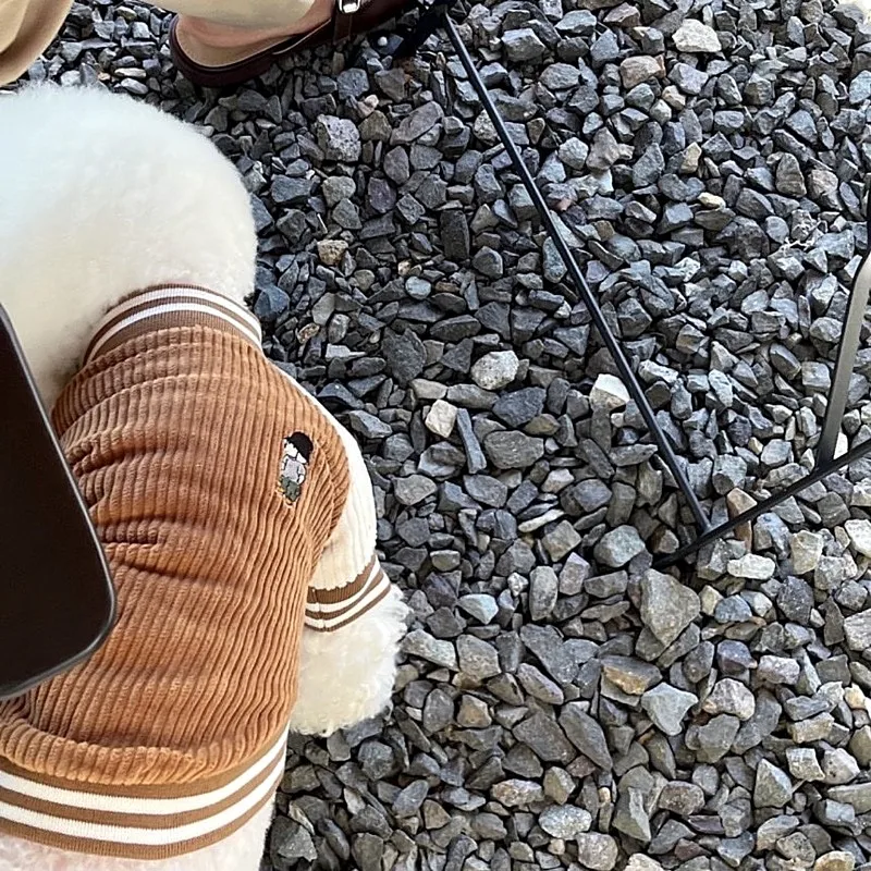 Ropa cálida de invierno para perros, Jersey de béisbol, chaquetas de peluche con cremallera, ropa de caniche a rayas de dos patas, ropa para perros - imagen 4