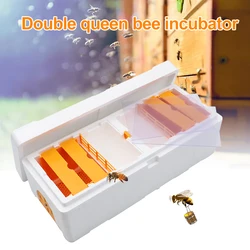 Caja apícola doble para criar reinas – Colmena multifuncional