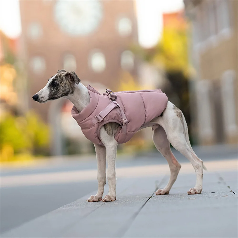 Chaqueta de moda para perros pequeños y medianos, abrigo cálido de invierno para mascotas con arnés, chaquetas para perros pastor Beagle galgo, ropa para mascotas - imagen 4