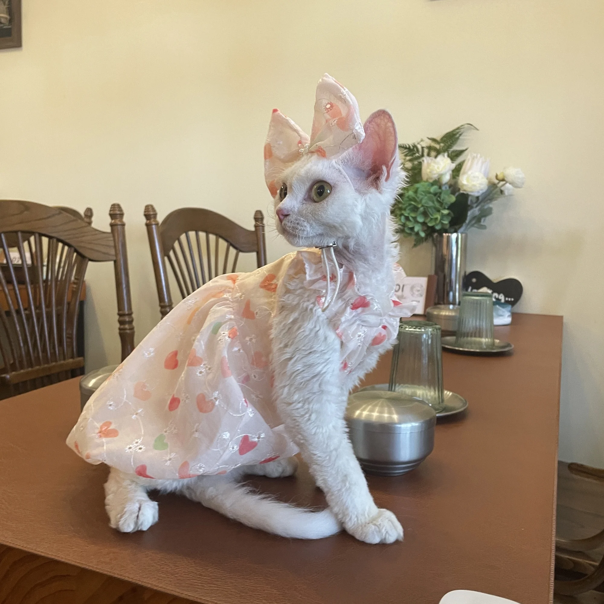 Vestido de princesa de doble cara de verano con interior de algodón suave para gato Sphynx falda rosa dulce transpirable Tiara con lazo para gato femenino