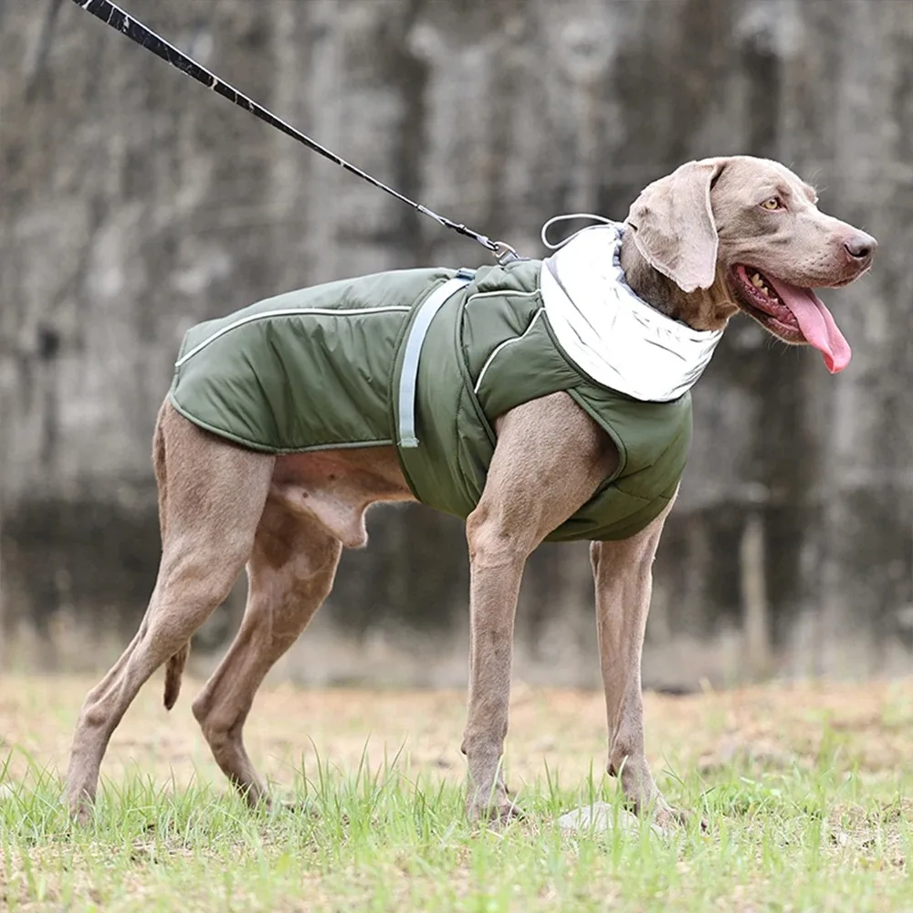 Primavera nueva chaqueta gruesa y cálida para perros, chaleco reflectante de seguridad, chaqueta impermeable para mascotas, ropa térmica de algodón para entrenamiento de perros - imagen 2