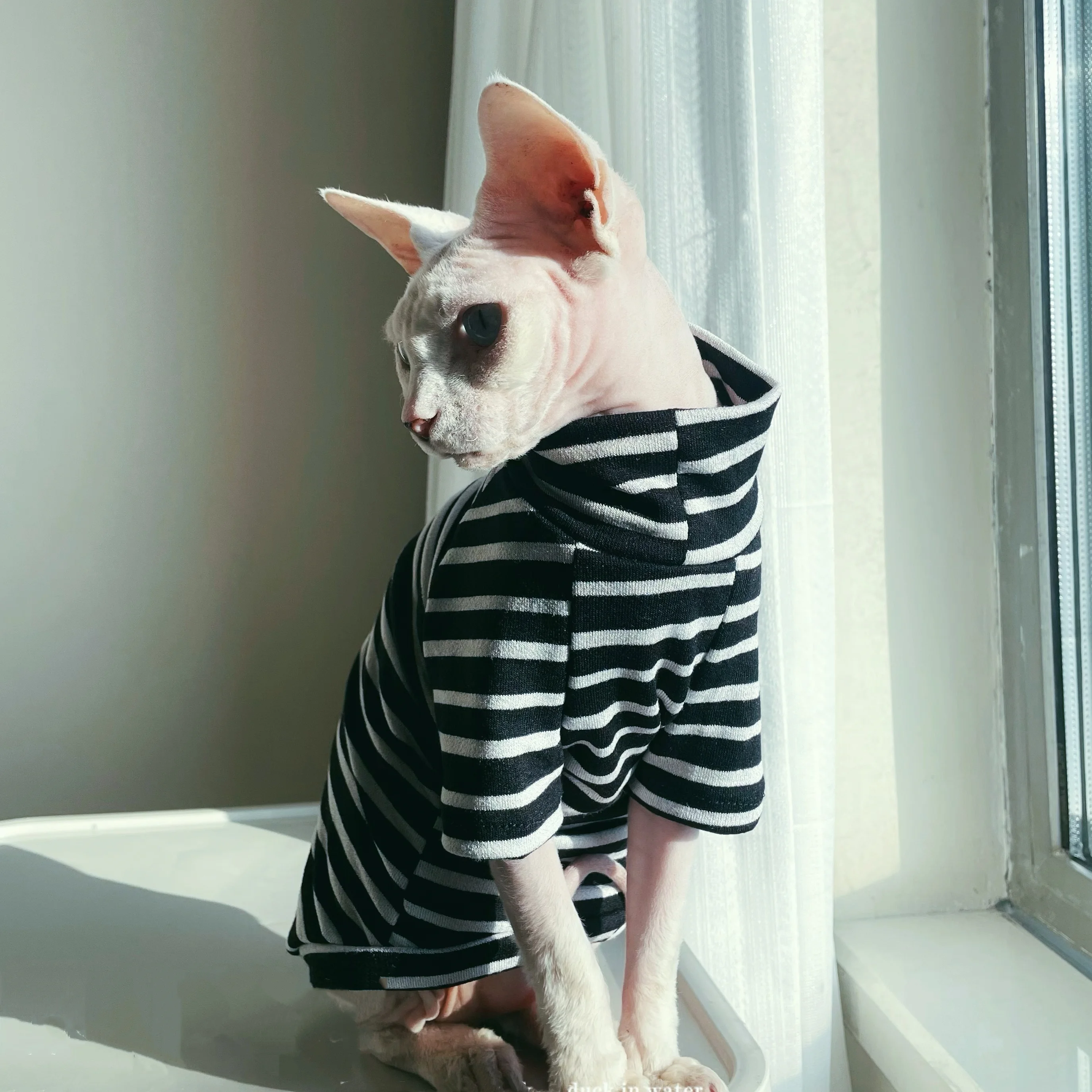 Camiseta de algodón a rayas negras para gato Sphynx, pijamas suaves de cuello alto para gatitos en primavera, abrigo de otoño de manga larga para Devon Rex