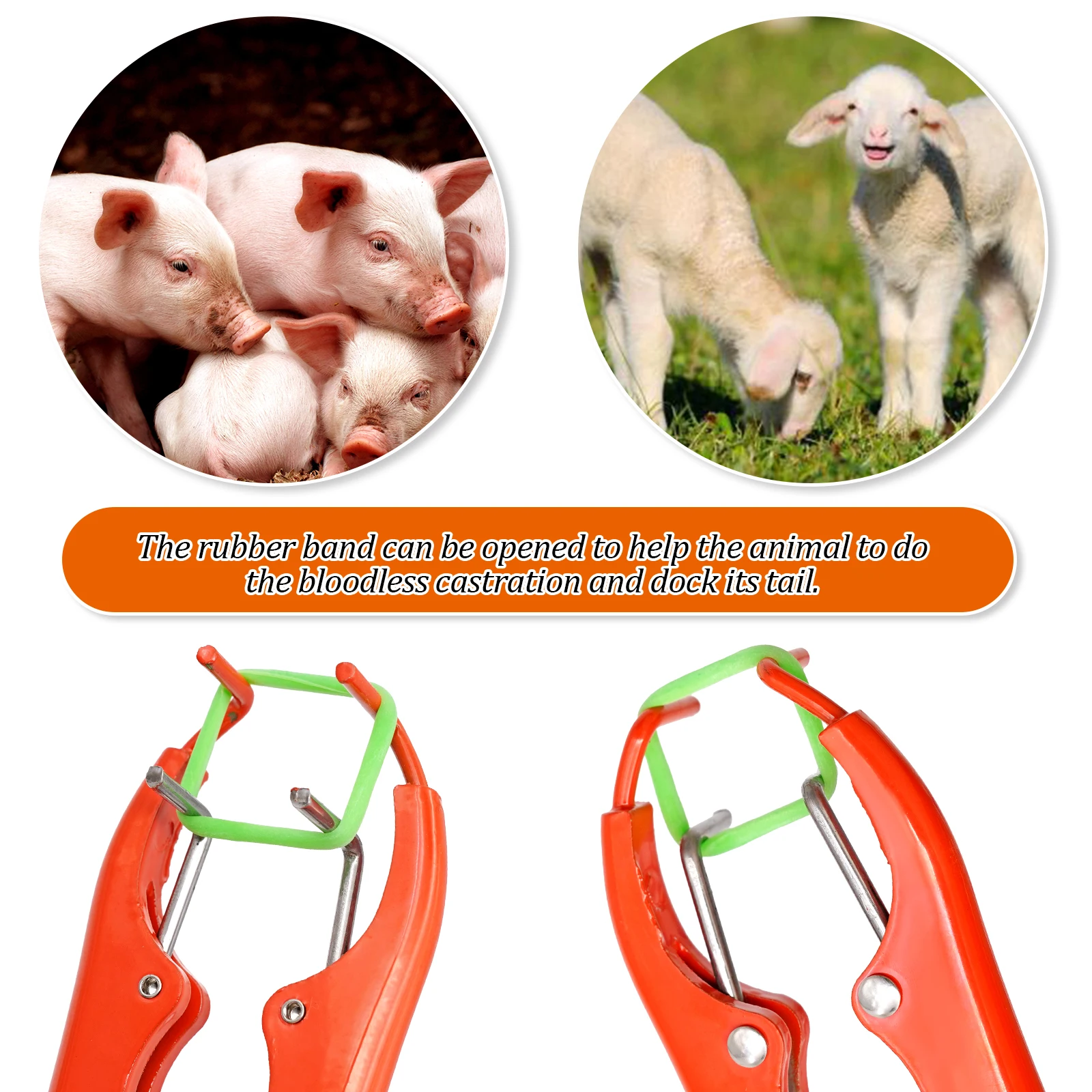 Pinzas de castración para ganado, cerdo, cabra, abrazadera de expansión, anillos de castración de goma elásticos, alicates de cola rota sin sangre para animales de granja - imagen 5