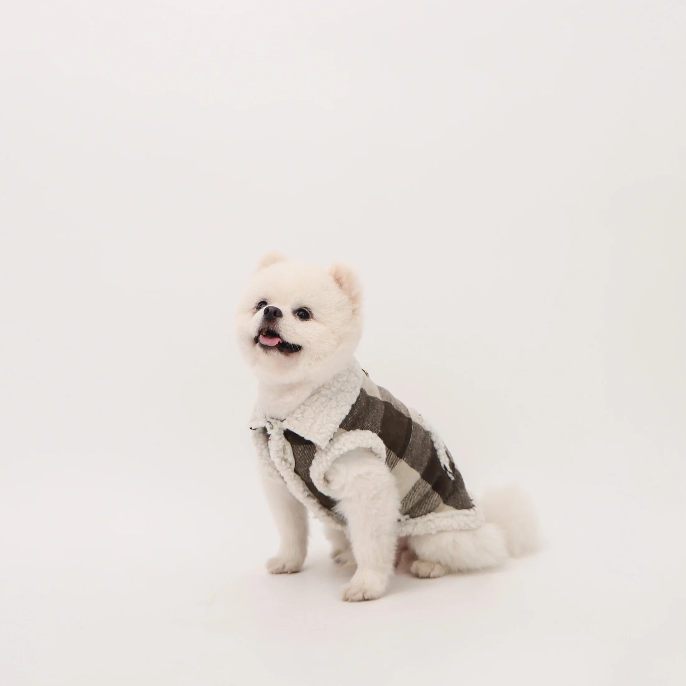Chaleco abrigo para perros y gatos pequeños – Estampado a cuadros con bolsillo - imagen 3