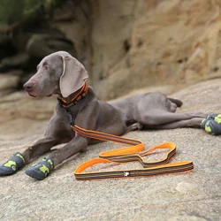 Correa para perros 200 cm con mango acolchado duradera y de lujo
