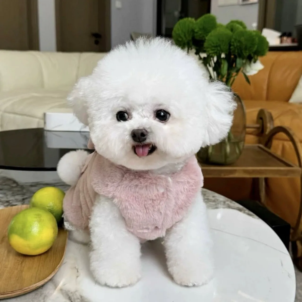 Abrigo de invierno peludo para perro con lazo grande, Chaqueta corta de piel de conejo, vestido de princesa para perro pequeño, ropa para perro Bichon - imagen 2