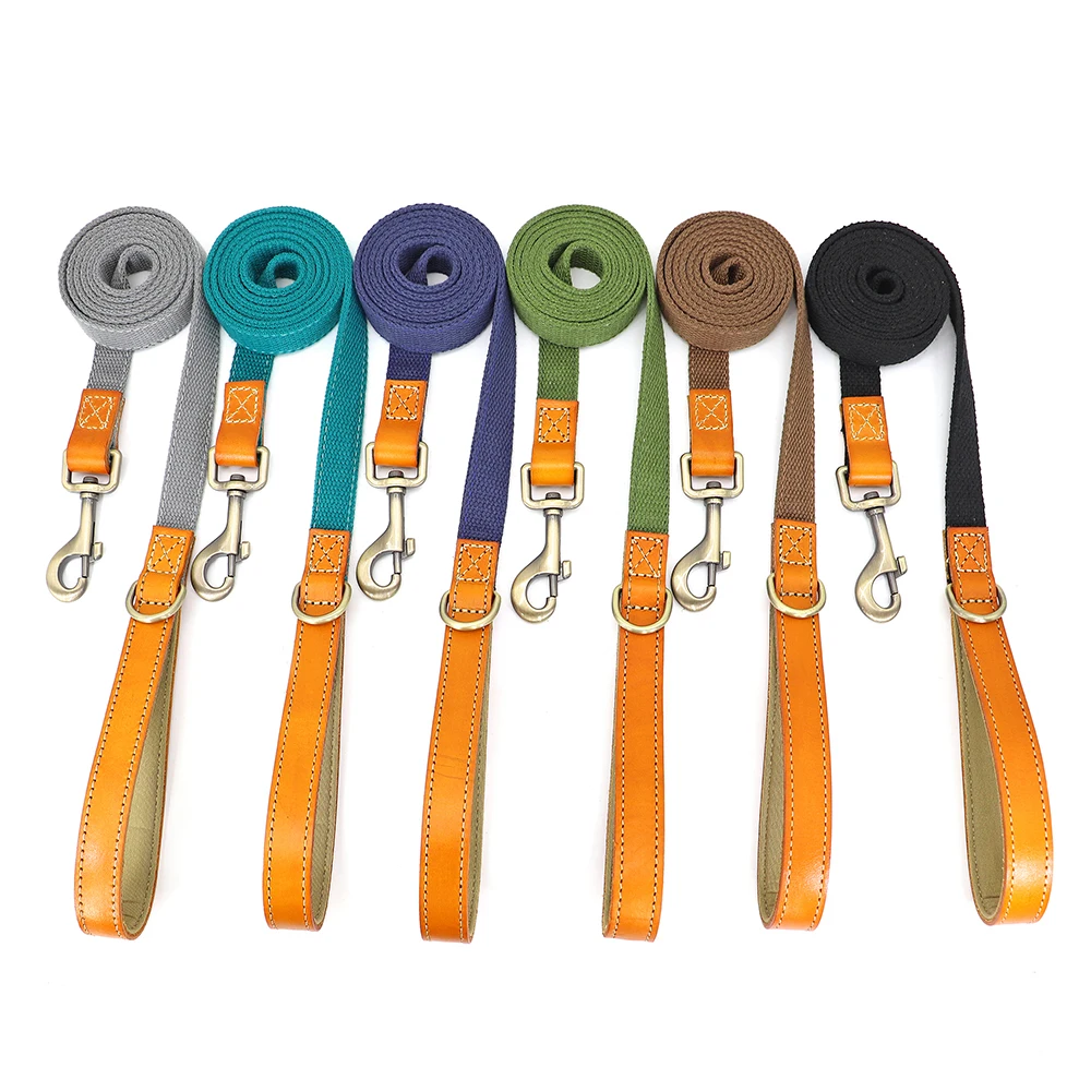 Hebilla antipérdida del collar para perros