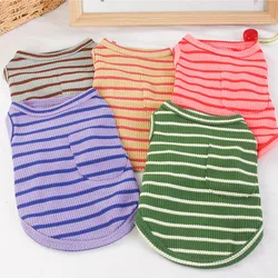 Ropa para perros y gatos: camisas, sudaderas y disfraces