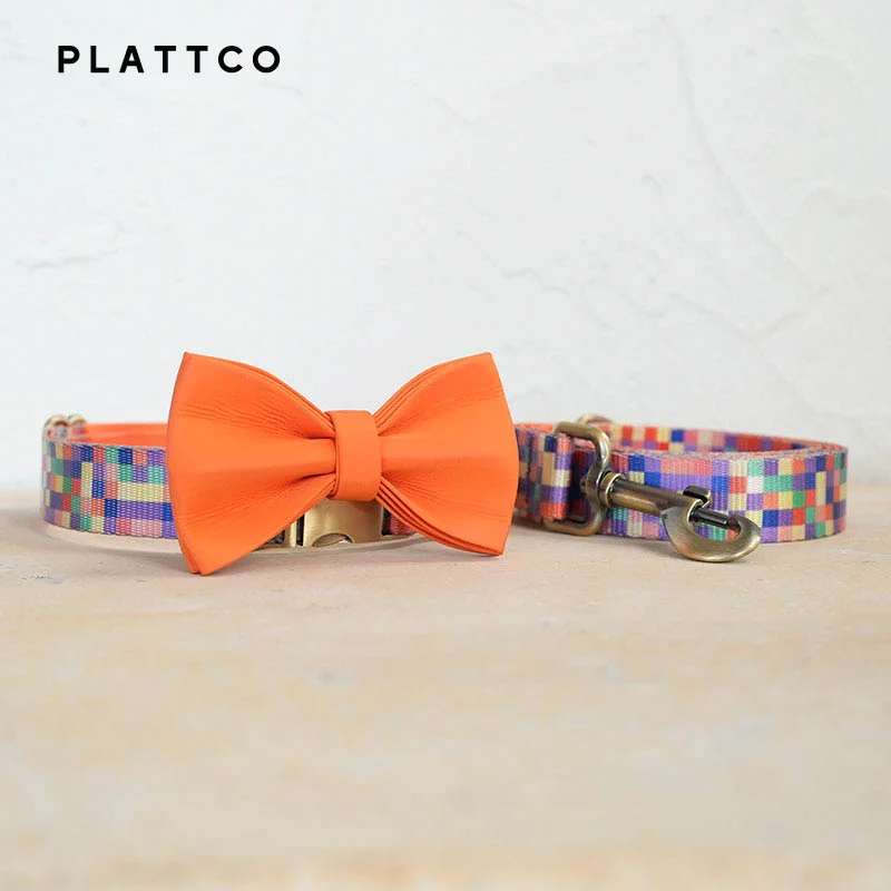 Bow Tie Collar Leash
