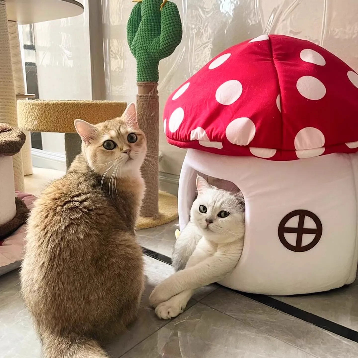 Cama suave cálida para gatos y perros pequeños lavable cómoda - imagen 3