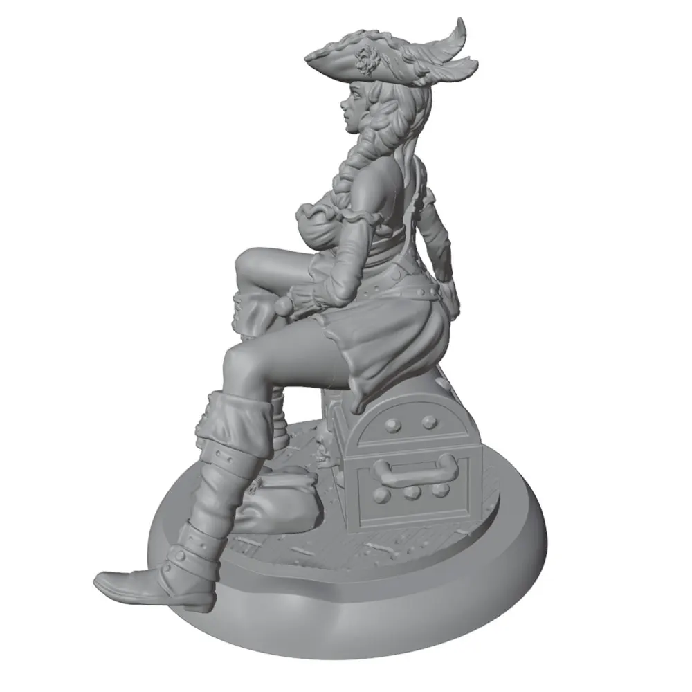Figura pirata cofre tesoro – coleccionable para fans de gatos y perros - imagen 2
